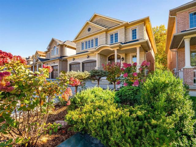 385 Maria Antonia Rd