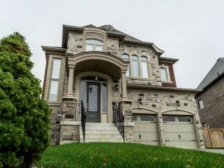 55 Garyscholl Rd