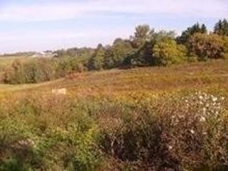 12928 Weston Rd