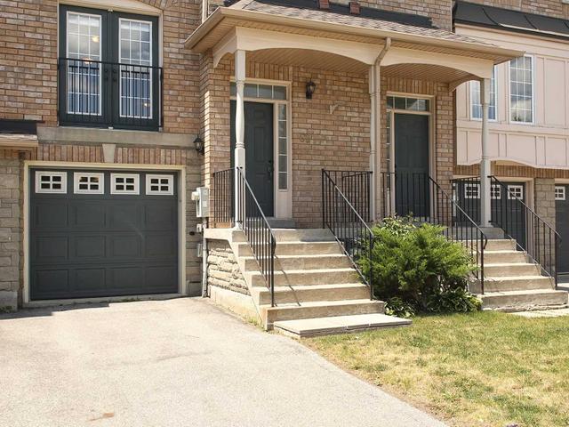 62 - 19 Foxchase Ave