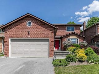 11 Mcquaid Crt