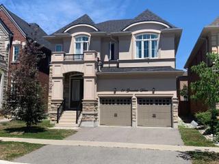 51 Gracedale Dr