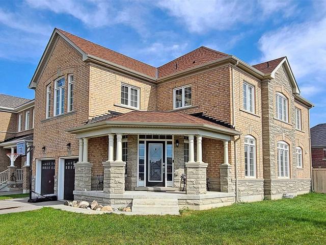 53 Wandering Glider Tr