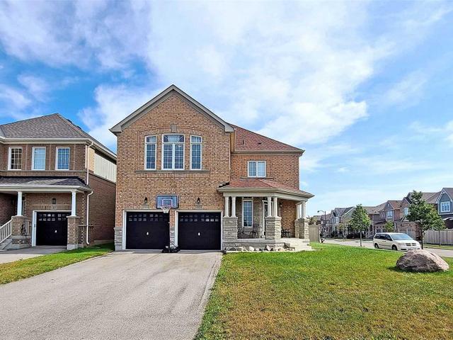 53 Wandering Glider Tr