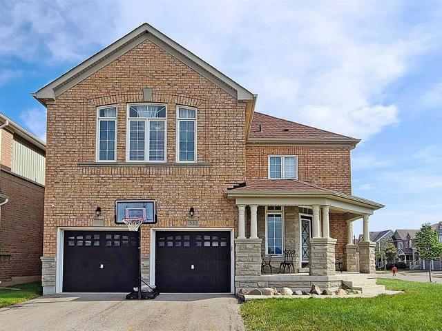 53 Wandering Glider Tr