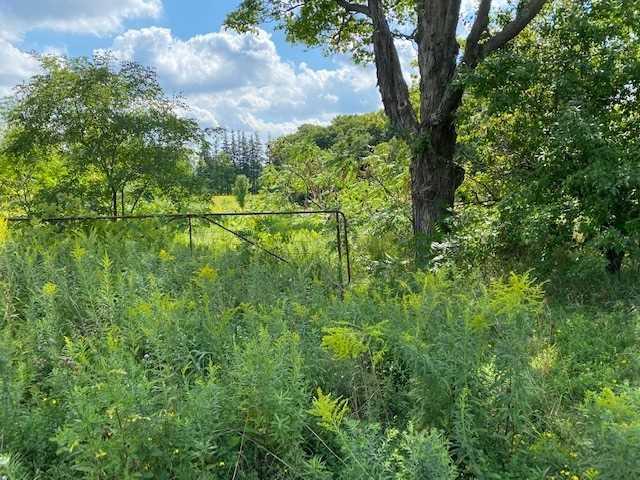 6041 Bloomington Rd