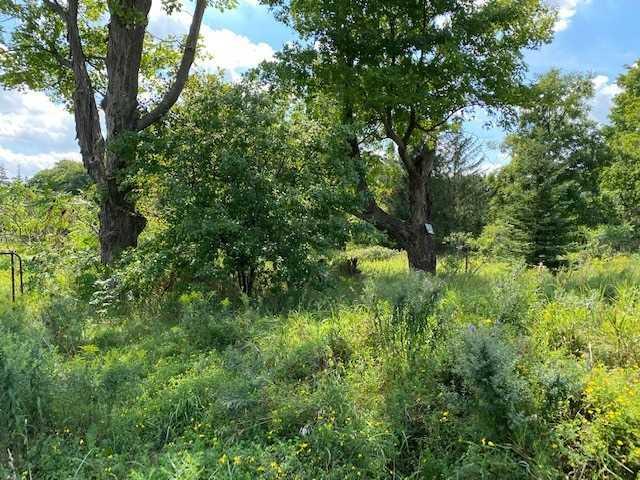 6041 Bloomington Rd