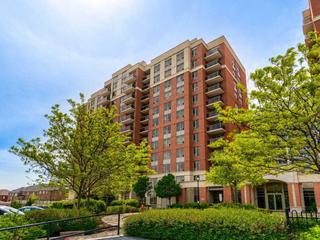 303 - 73 King William Cres