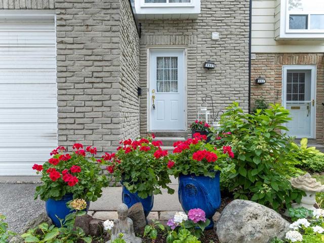 262 Royal Orchard Blvd