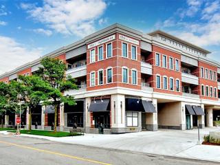 219 - 20 Fred Varley Dr