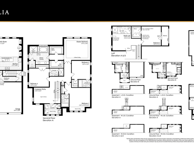 Magnolia - Lot 32