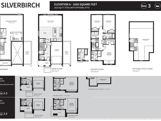 36.7' The Silverbirch