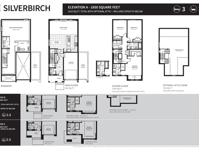 30' Collection - Silverbirch