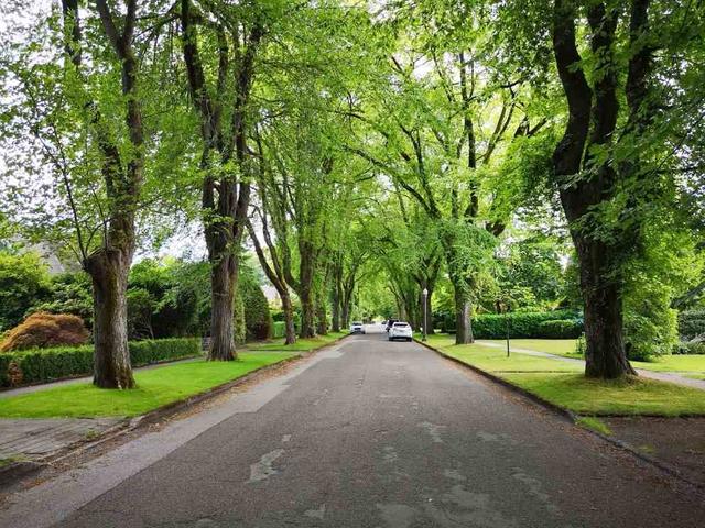 6011 MARGUERITE STREET