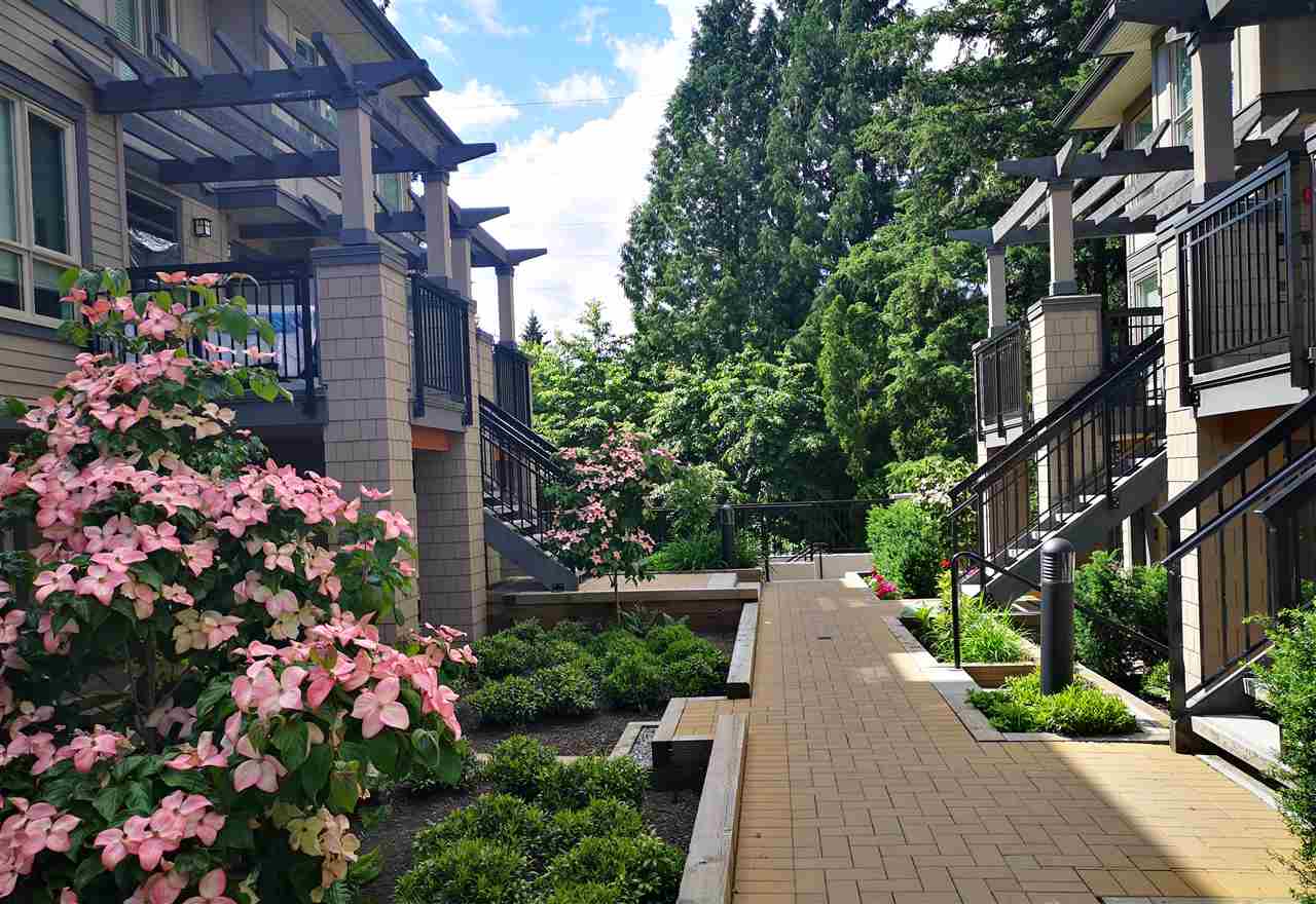 2 3201 NOEL DRIVE, Burnaby Sold, R2393587 Condos.ca