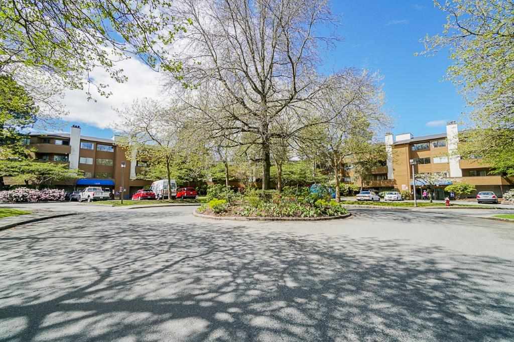 101 7295 MOFFATT ROAD, Richmond Sold, R2454104 Condos.ca
