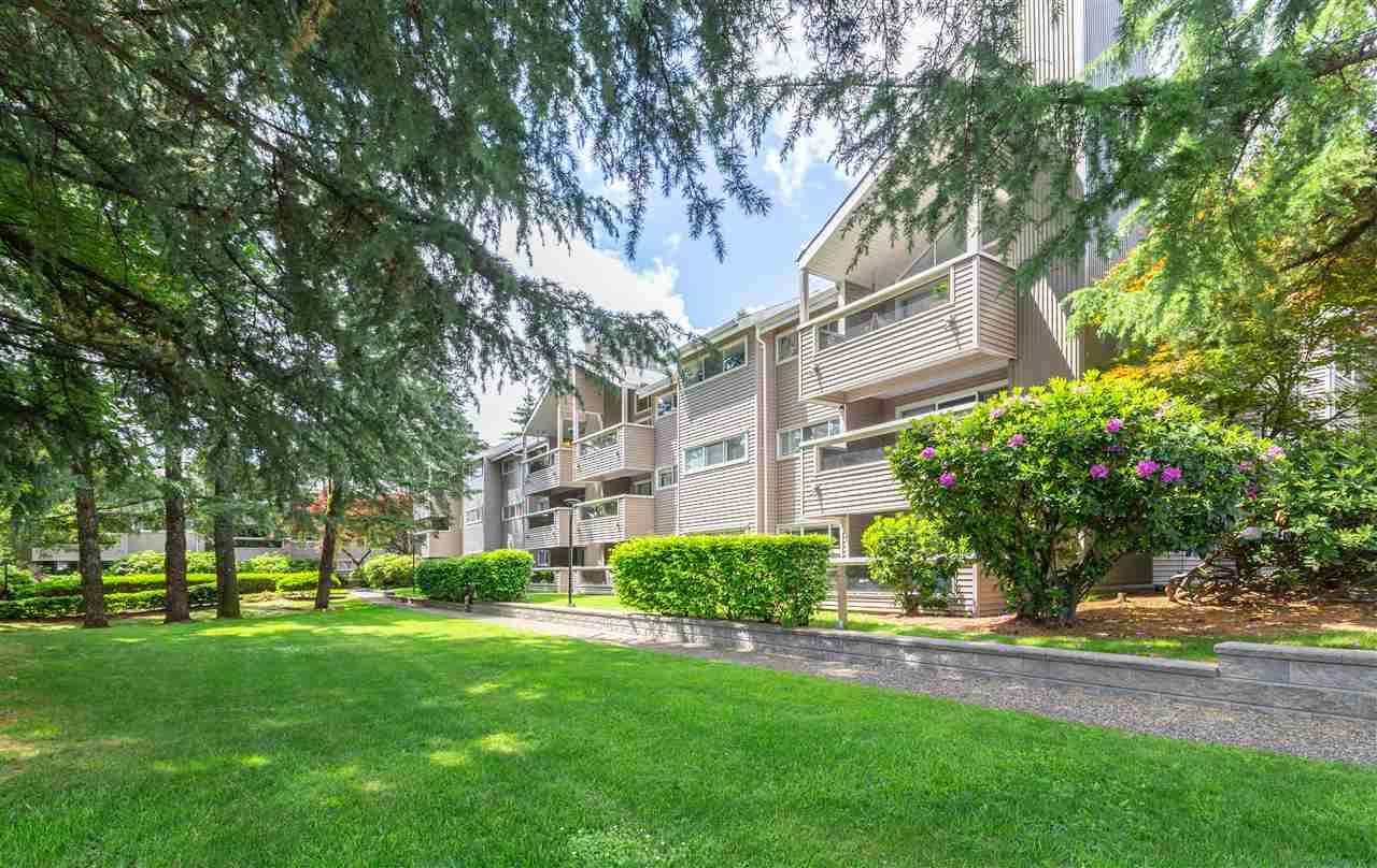 110 932 ROBINSON STREET, Coquitlam Terminated, R2485656 Condos.ca
