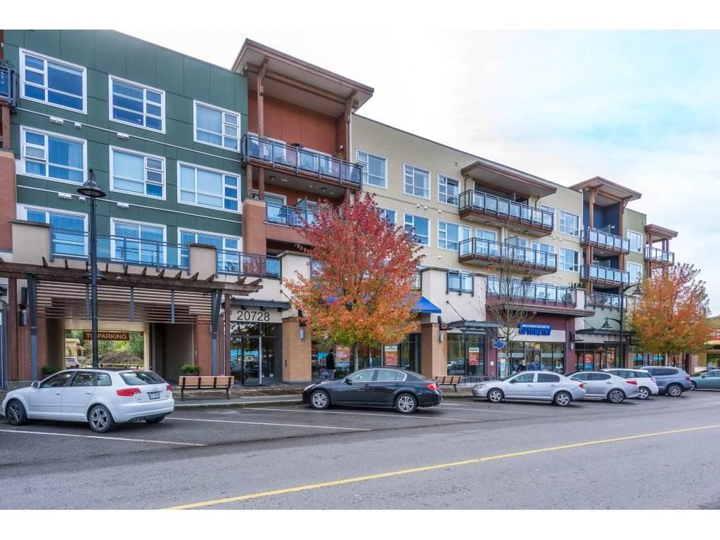 315 20728 WILLOUGHBY TOWN CENTRE DRIVE, Langley Township Sold