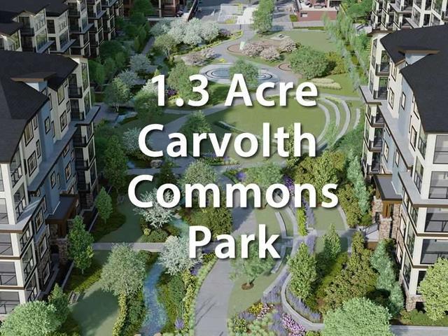 302 - 8538 203A STREET