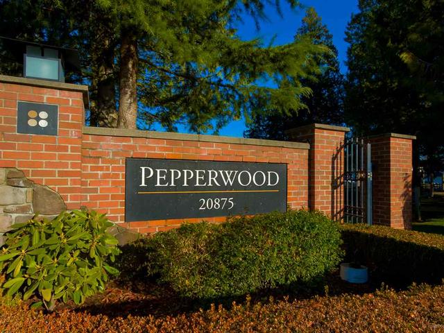 69 - 20875 80 AVENUE