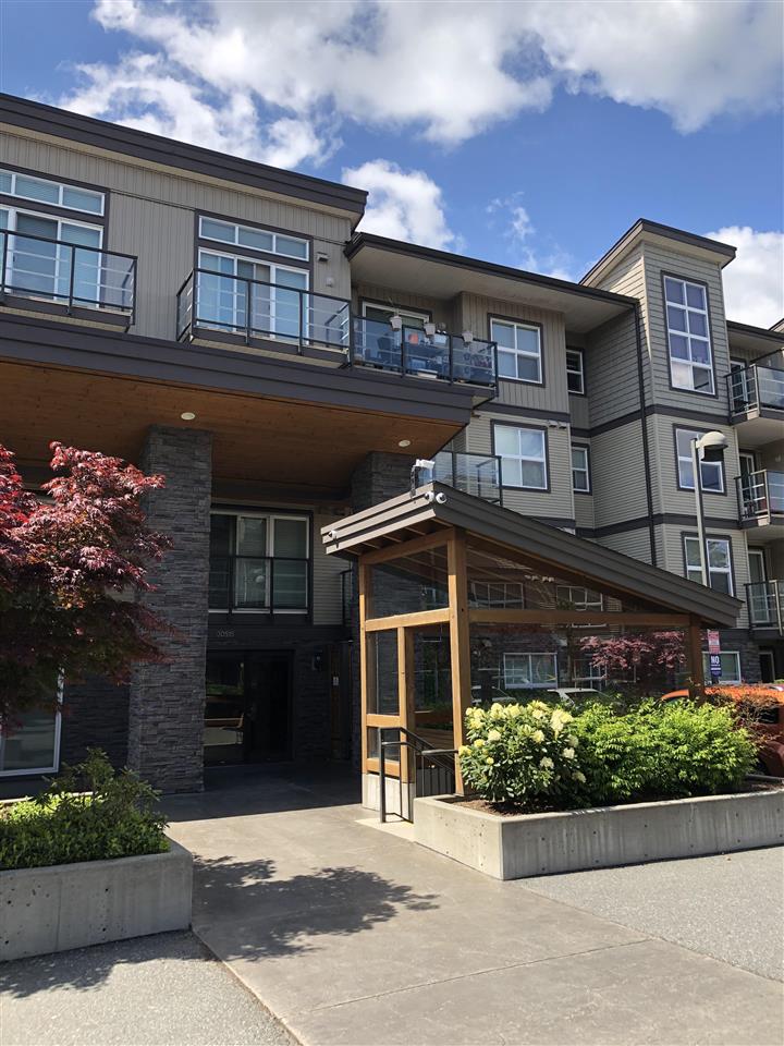 204 30515 CARDINAL AVENUE, Abbotsford Sold, R2574794 Condos.ca