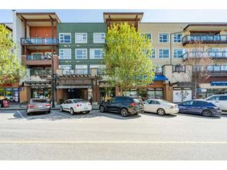 302 - 20728 WILLOUGHBY TOWN CENTRE DRIVE