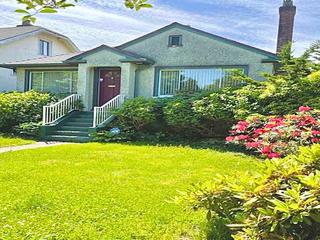 3484 PANDORA STREET