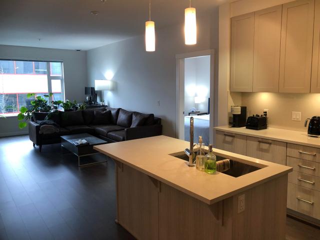 409 - 123 W 1ST STREET