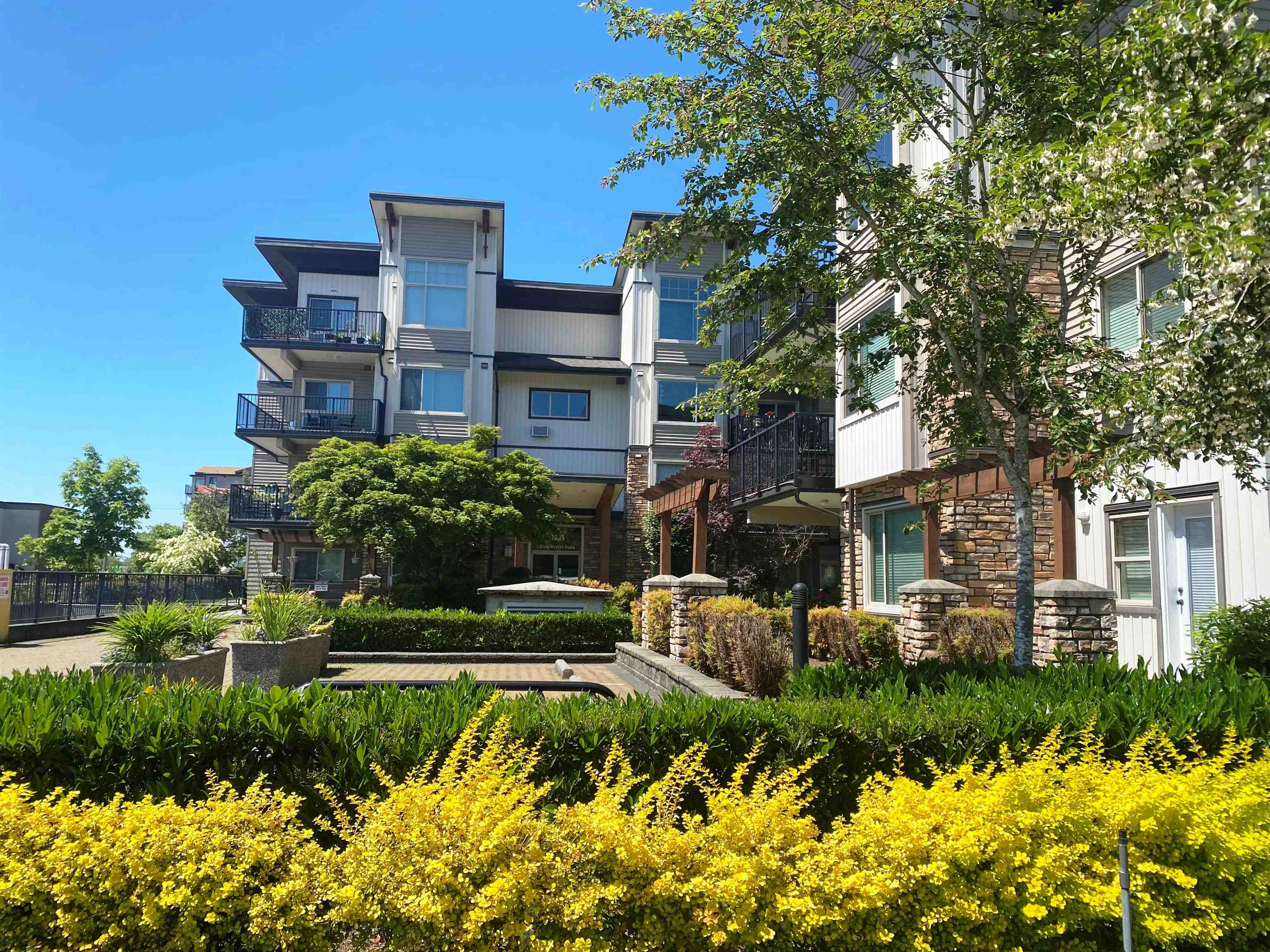 106 11935 STREET, Maple Ridge Sold, R2703844 Condos.ca