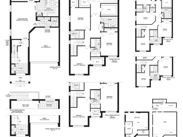 Pavo - Lot 46