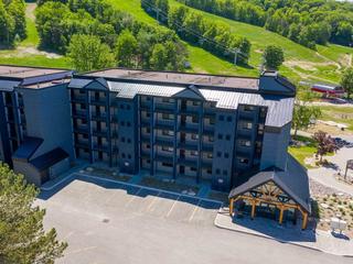506 - 80 Horseshoe Blvd