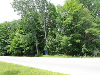 1016 Lakeshore Rd E
