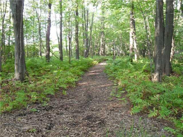 4571 Orkney Beach Rd