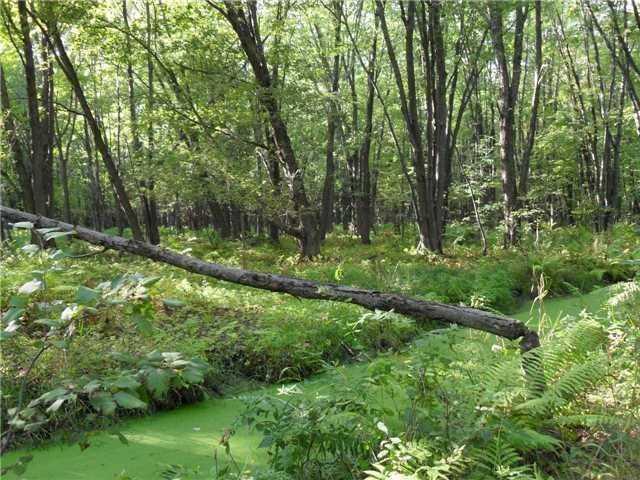 4571 Orkney Beach Rd