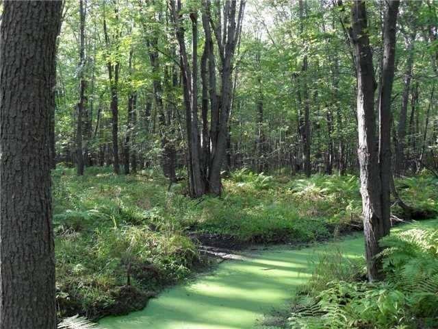 4571 Orkney Beach Rd