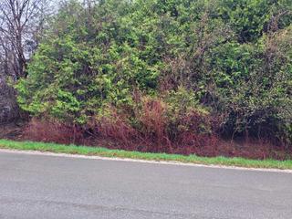 32 Slalom Gate Rd