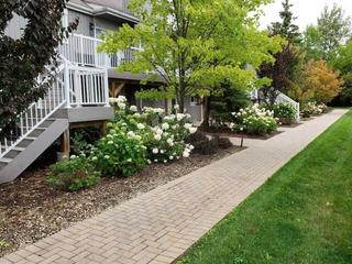 716 - 11 Dawson Dr