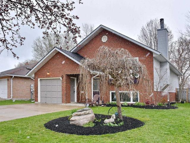 10 Dillon Dr