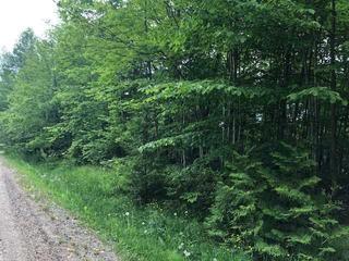 44 Seneca Cres