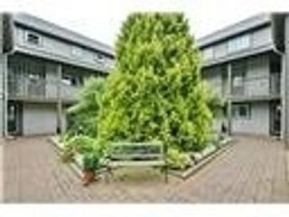7 - 706 Johnston Park Ave