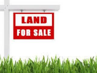 12669 County Rd 27 - Lot14
