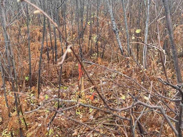 L1 Concession 1, Catharine Rd