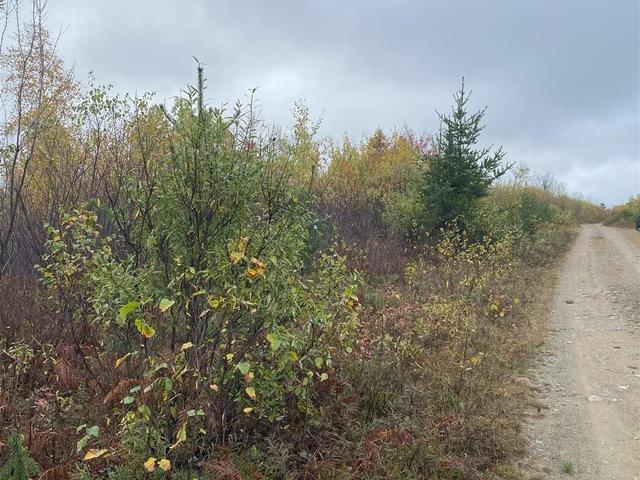 L1 Concession 1, Catharine Rd