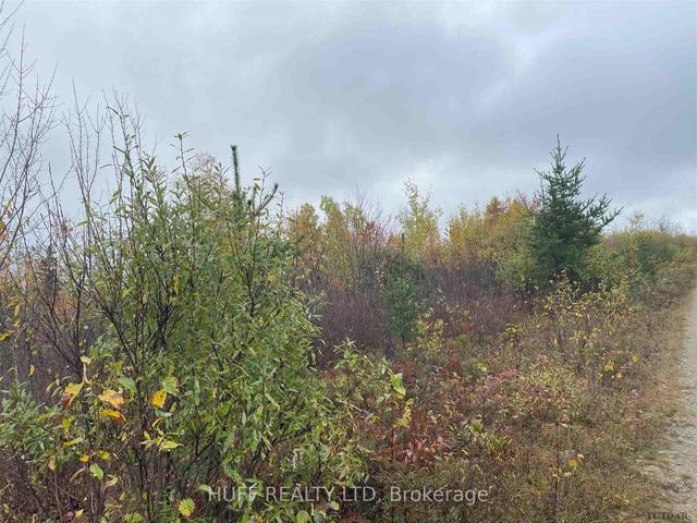 L1 Concession 1, Catharine Rd