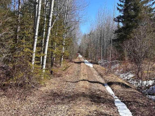 S 1/2 LT 4 CON 2 LAMARCHE TWP