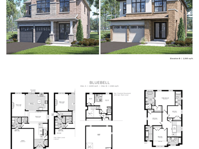 Bluebell 38 ' - Lot 3
