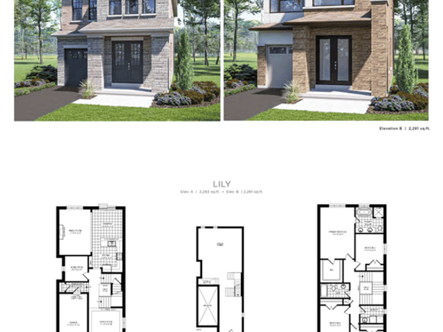 Lily 30' - Lot 37