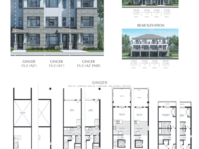 Ginger - Block 128 - Unit 4