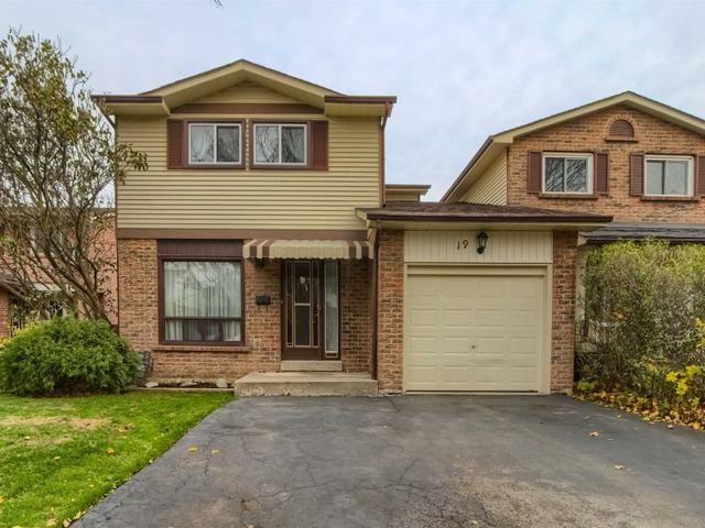 19 Skelton St