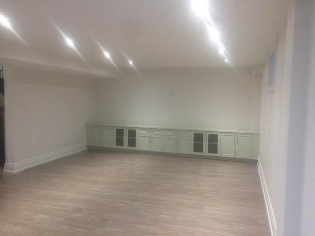 Bsmt - 355 Rustic Rd